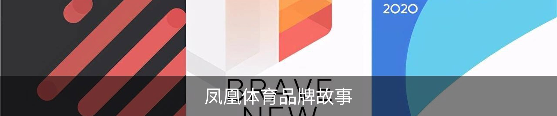 凤凰体育品牌故事